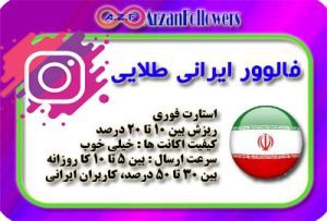 فالوور اینستاگرام ایرانی طلایی – گارانتی ۲۰ روزه [۱۴۰ تومان]