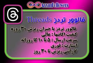 فالوور تردز Threads - (استارت فوری)(سرعت عالی)(کیفیت خوب) - 374,000 تومان